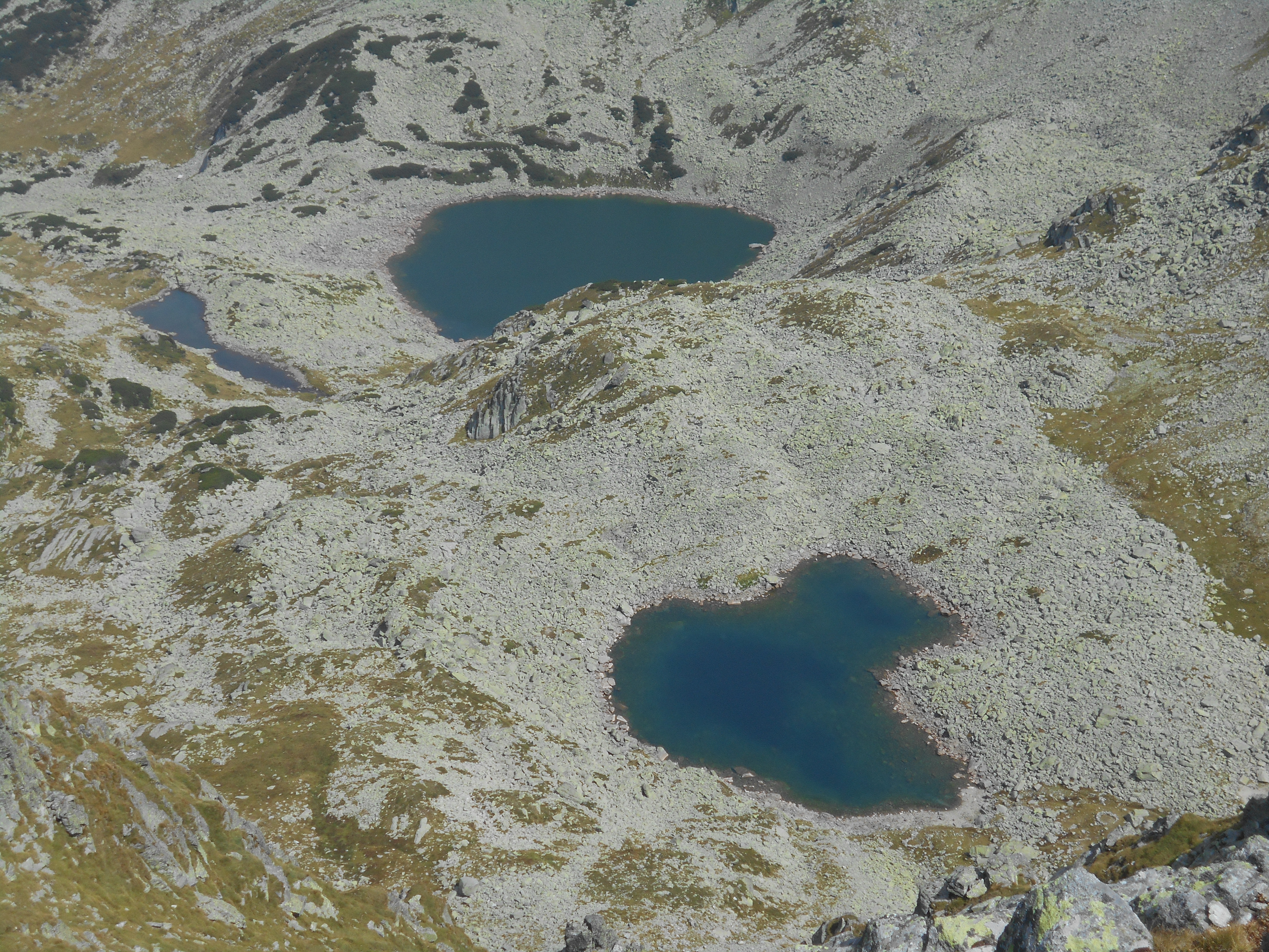 CĂLĂTOR PRIN MASIVELE ROMÂNIEI. 8. MASIVUL PARÂNG. II. CREASTA PARÂNGULUI DE LA TRANSALPINA LA PETROȘANI