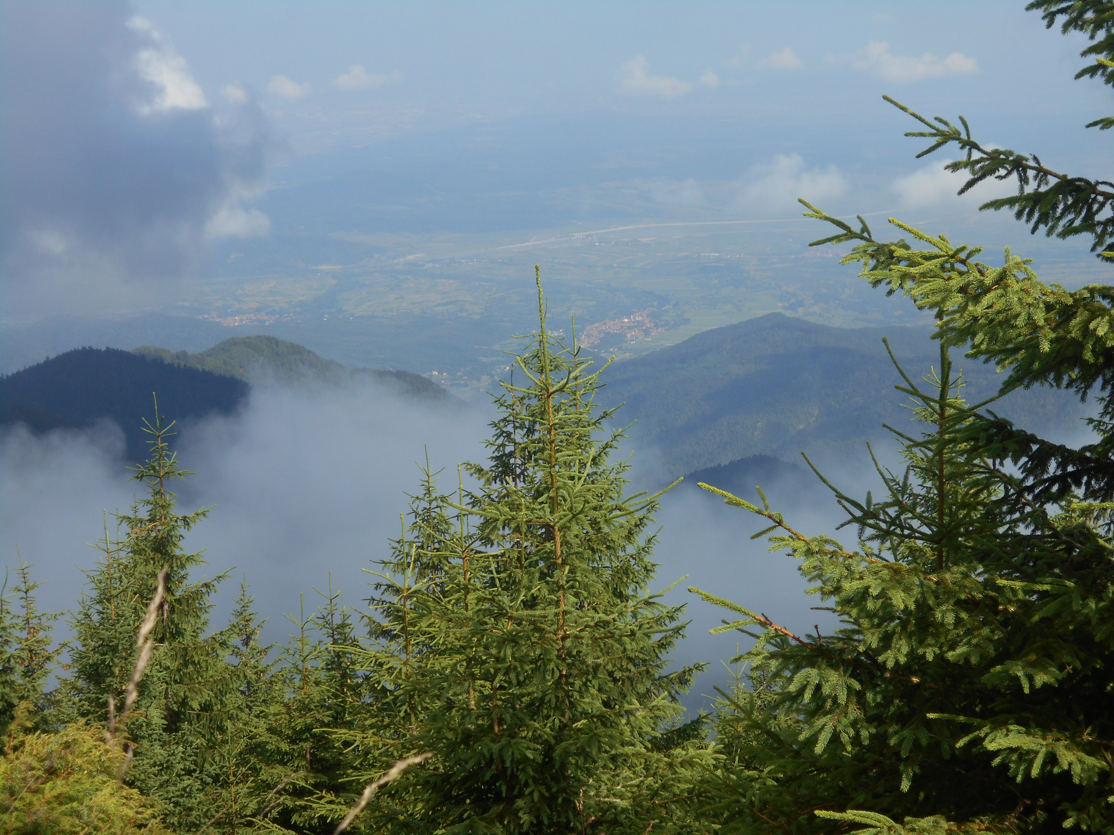 CĂLĂTOR PRIN MASIVELE ROMÂNIEI. 7. ÎMPĂRĂȚIA FĂGĂRAȘULUI. II. CREASTA VESTICĂ DE LA ȘAUA SURU LA LACUL AVRIG