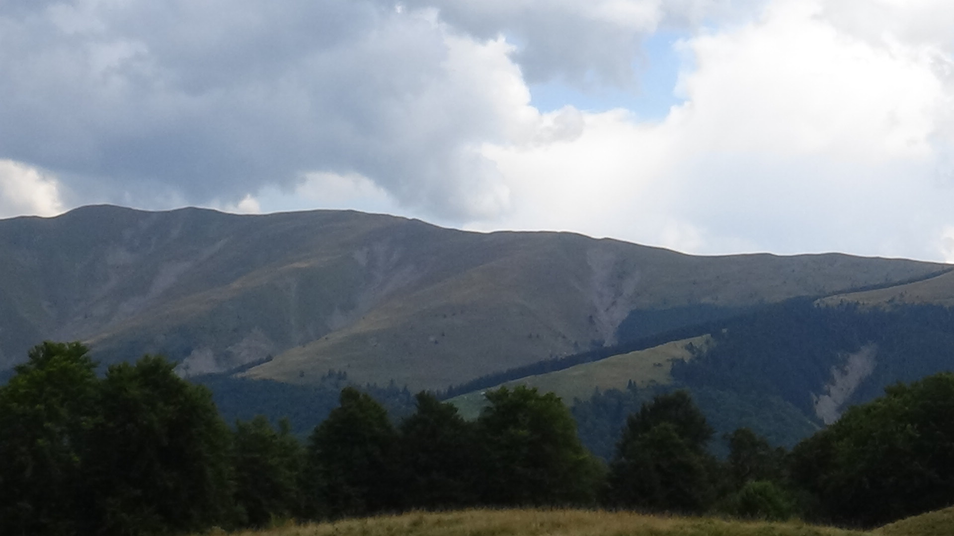 CĂLĂTOR PE POTECILE CARPAŢILOR