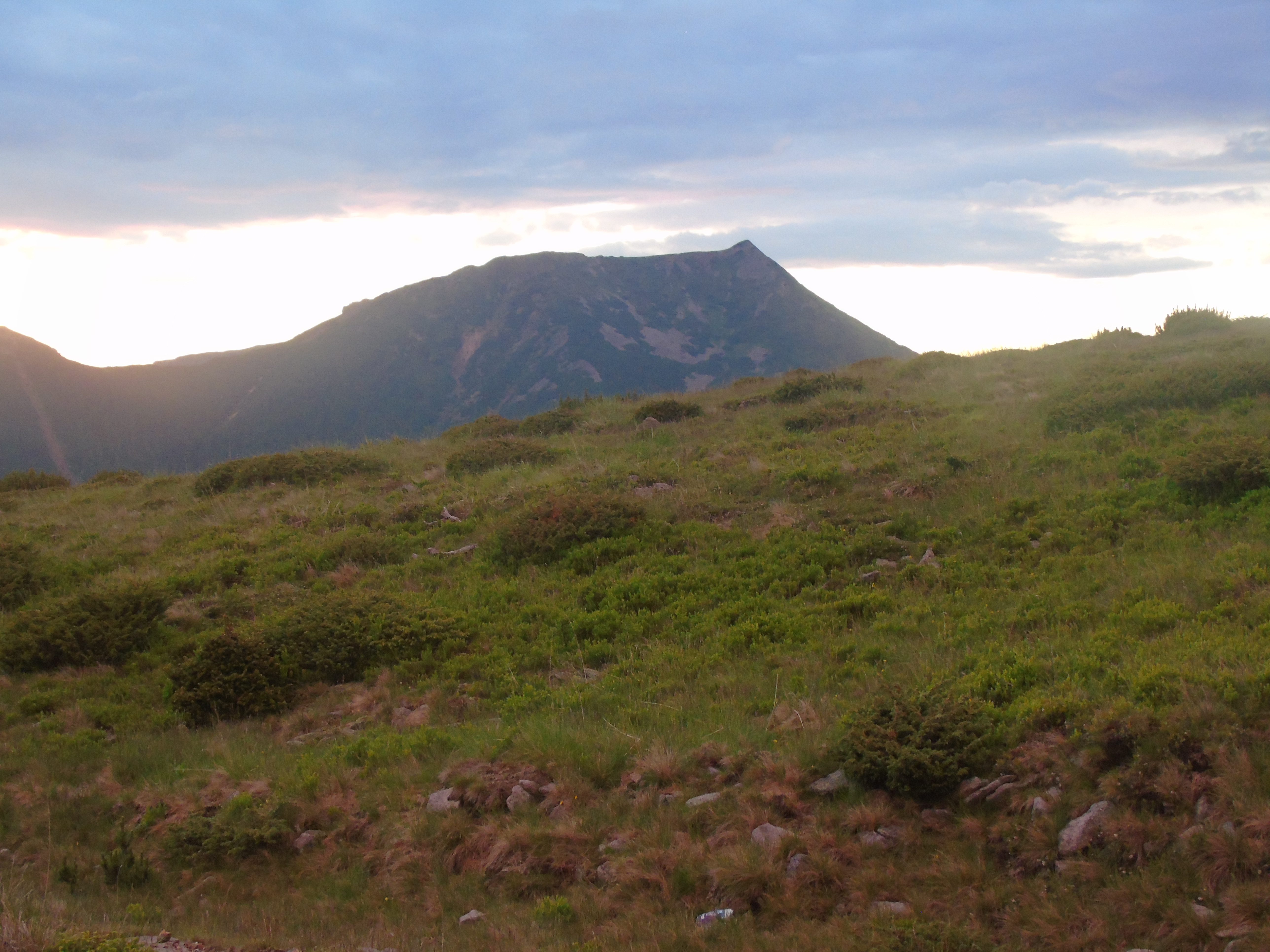 CĂLĂTOR PE POTECILE CARPAŢILOR