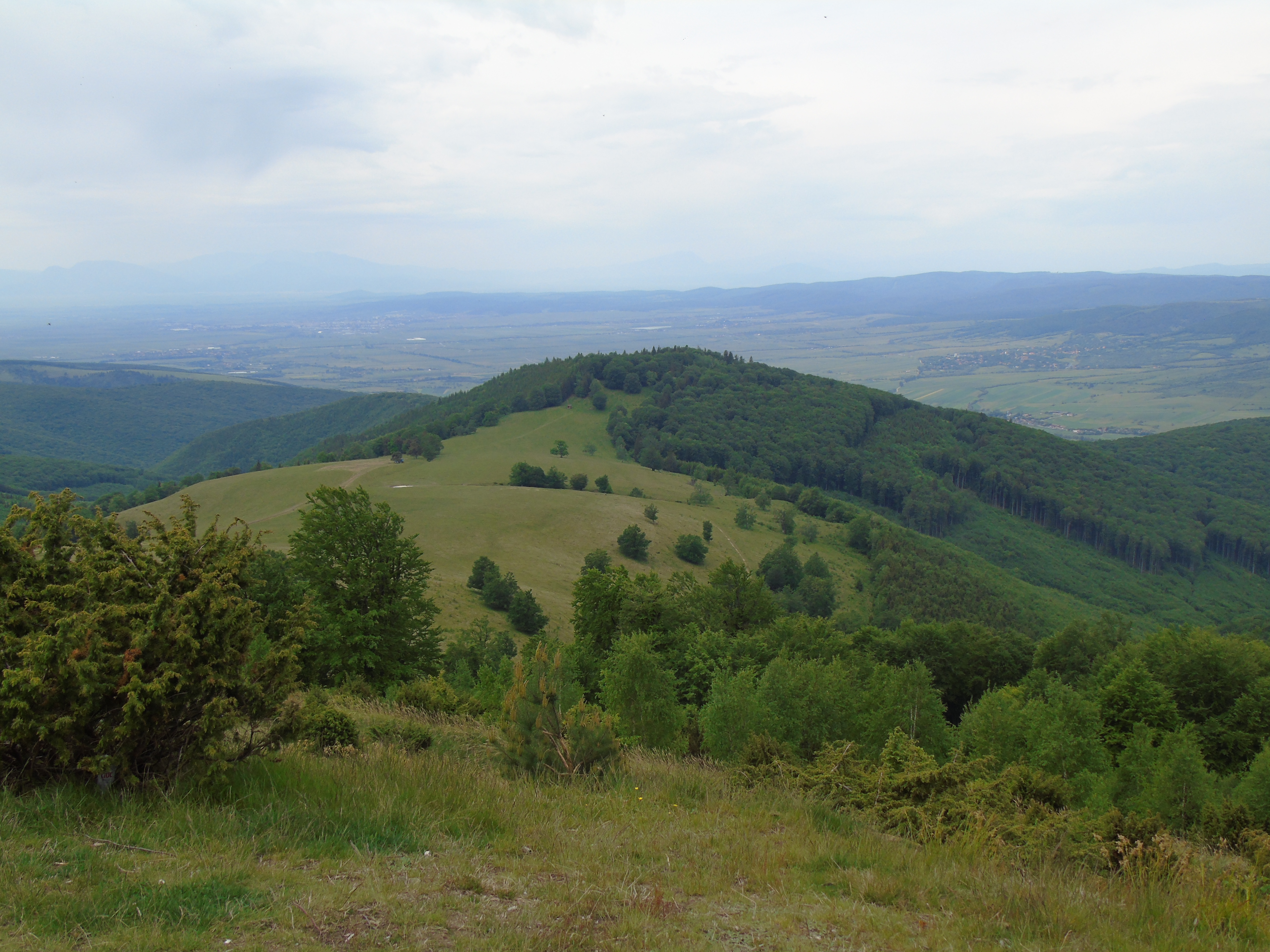 CĂLĂTOR PRIN MASIVELE ROMÂNIEI. 23. MASIVUL BODOC. DRUMEȚIE LA VÂRFUL BODOC ÎN ȚINUTUL BUCOLIC AL COVASNEI