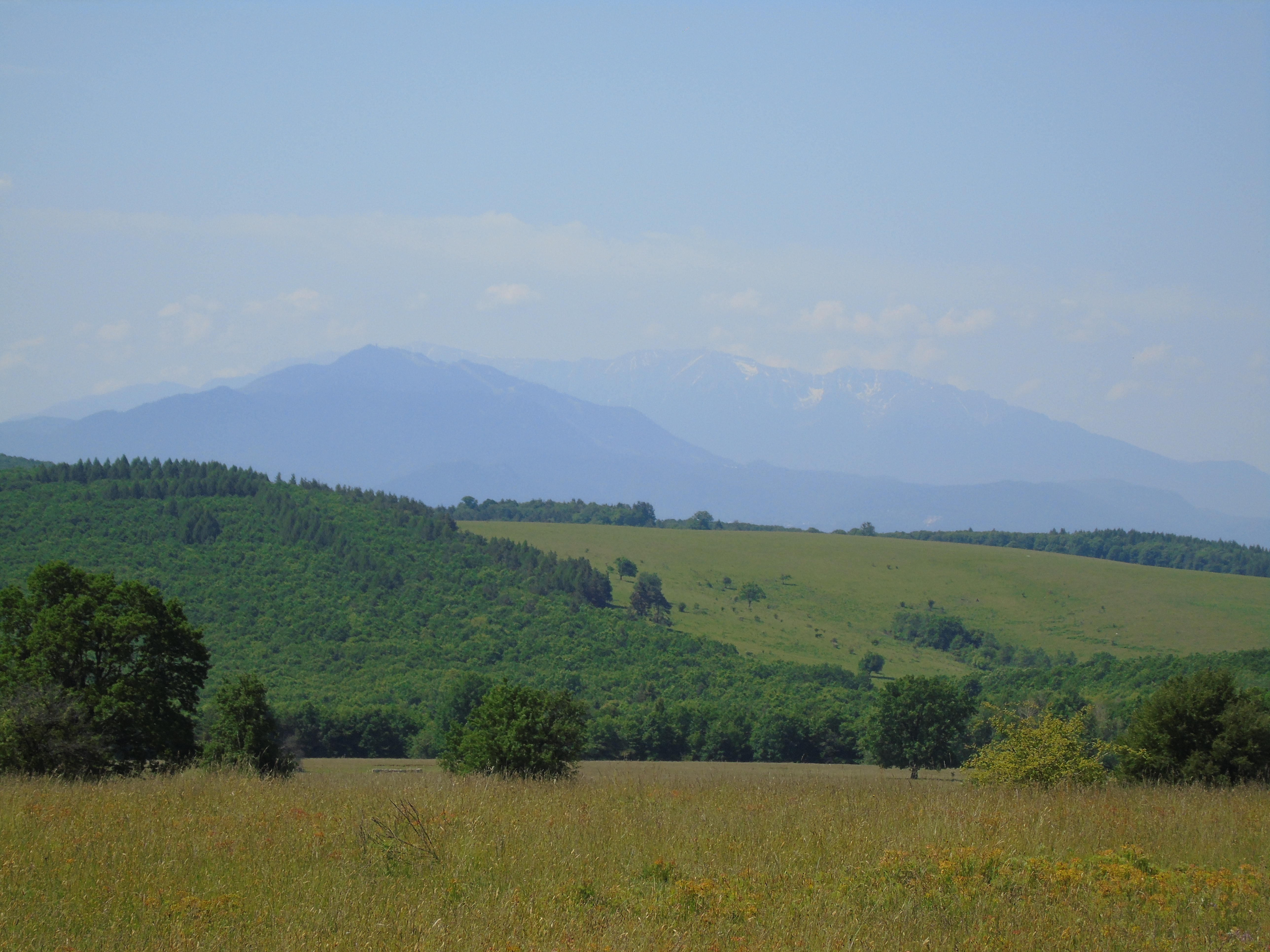 CĂLĂTOR PE POTECILE CARPAŢILOR