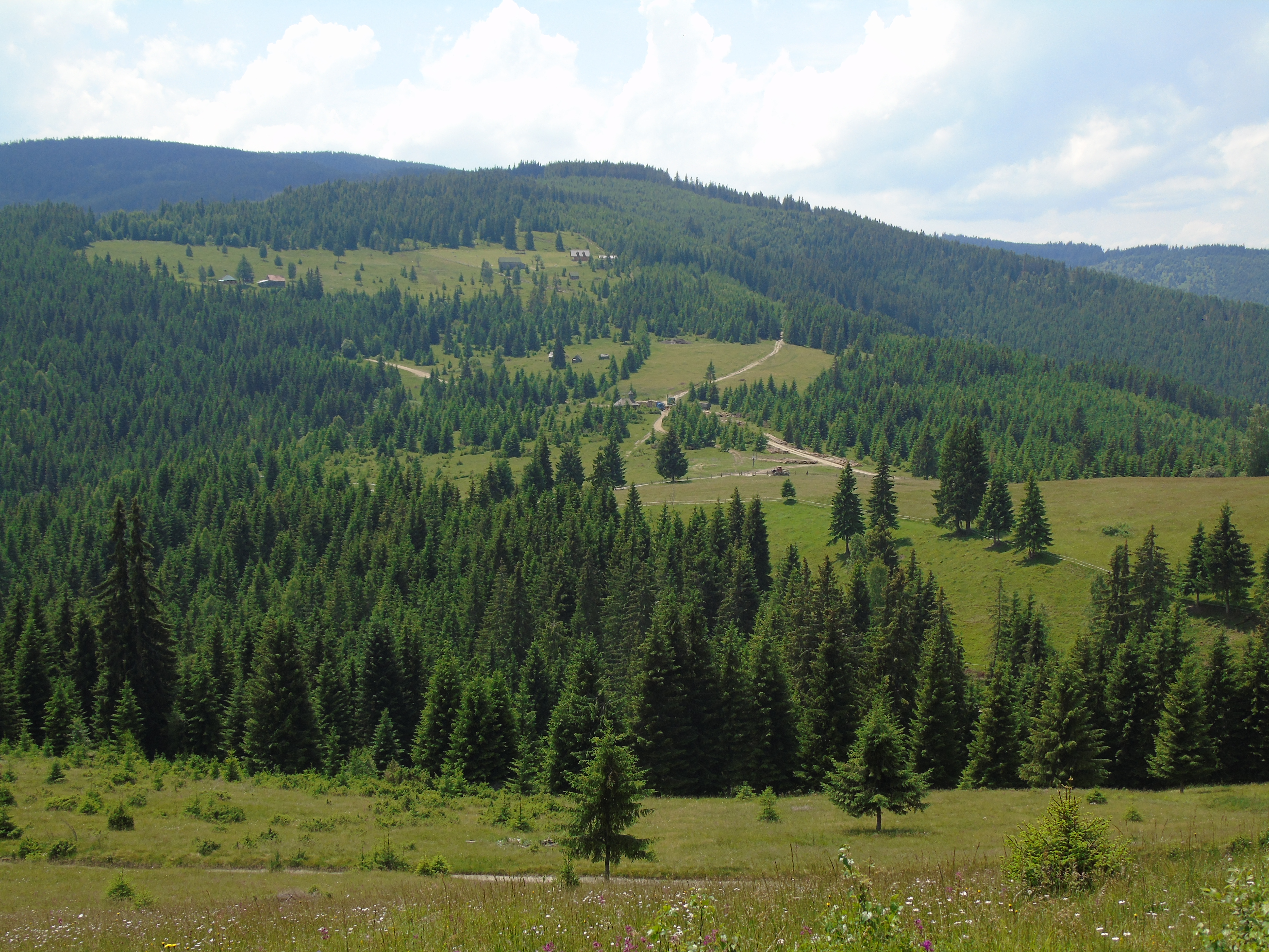 CĂLĂTOR PE POTECILE CARPAŢILOR