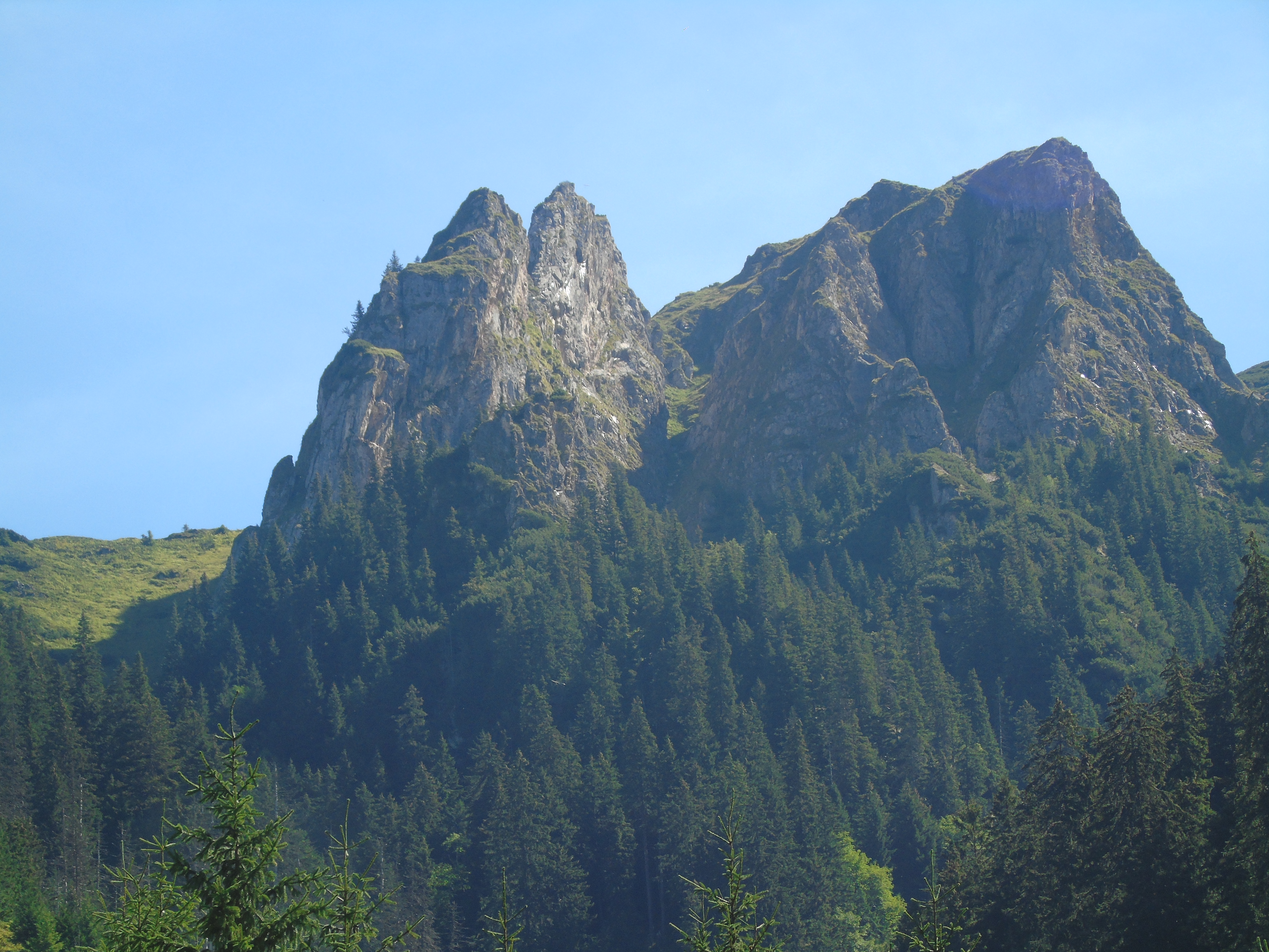 CĂLĂTOR PE POTECILE CARPAŢILOR