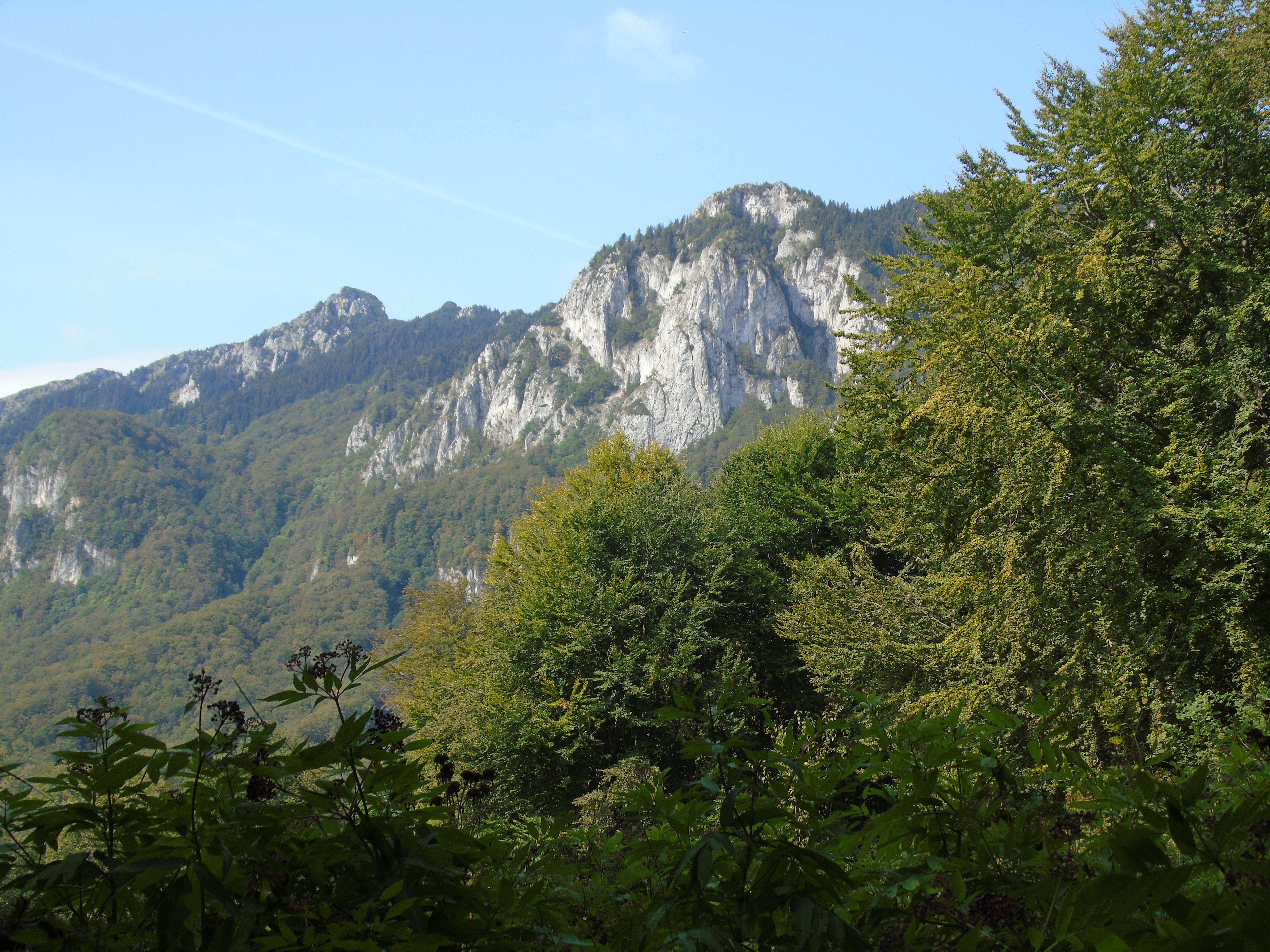 CĂLĂTOR PE POTECILE CARPAŢILOR