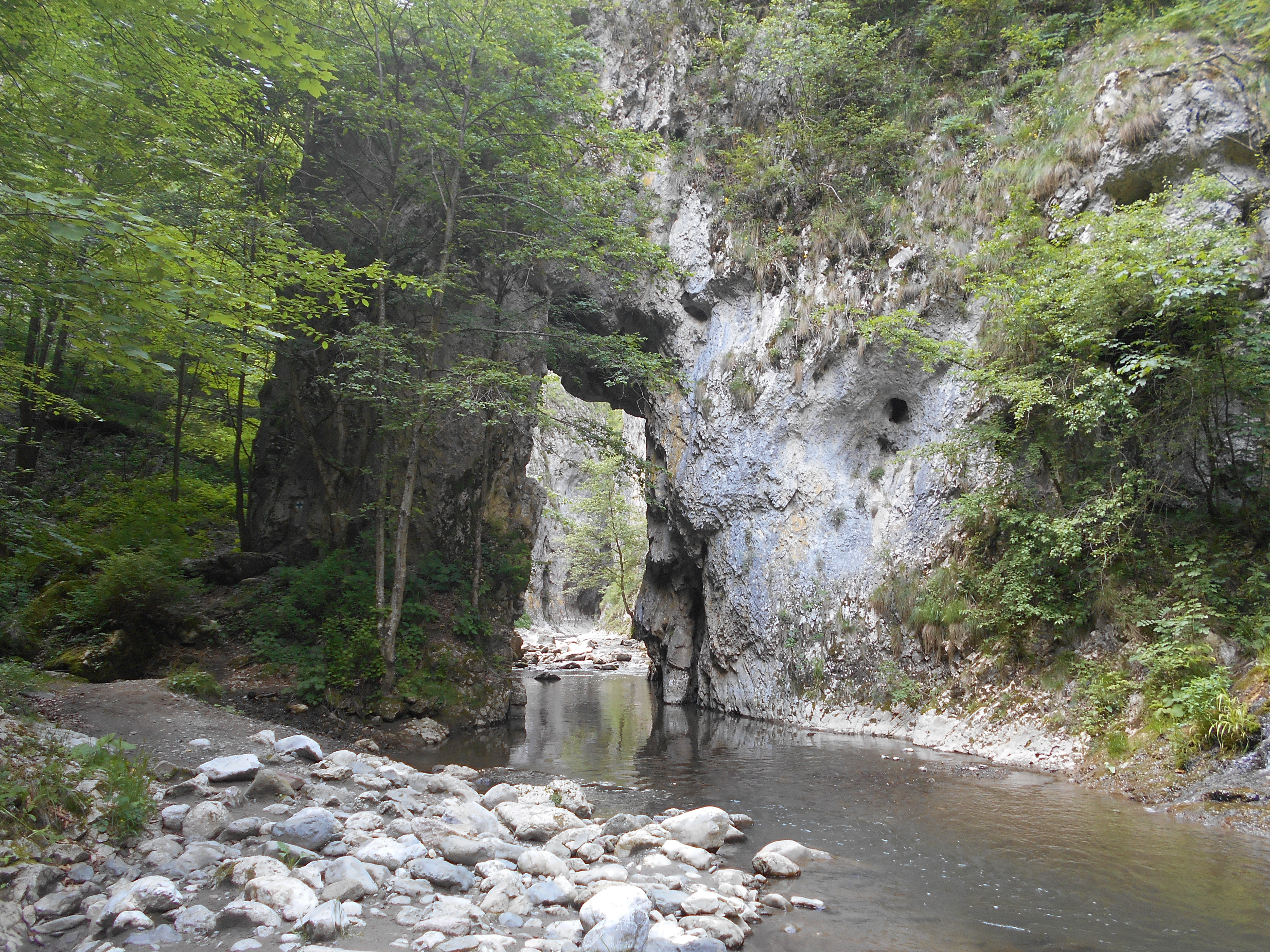 CĂLĂTOR PE POTECILE CARPAŢILOR