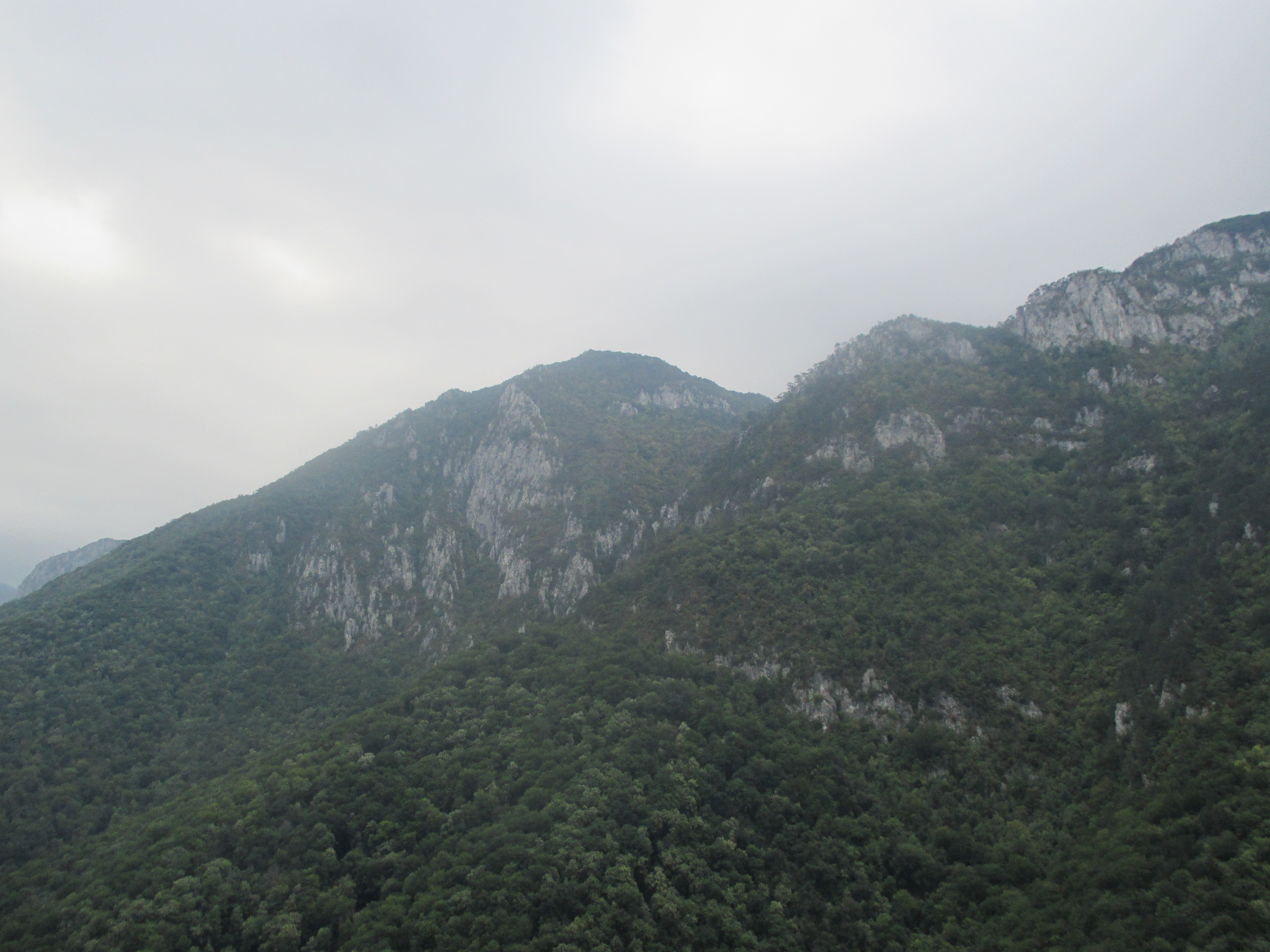 CĂLĂTOR PE POTECILE CARPAŢILOR