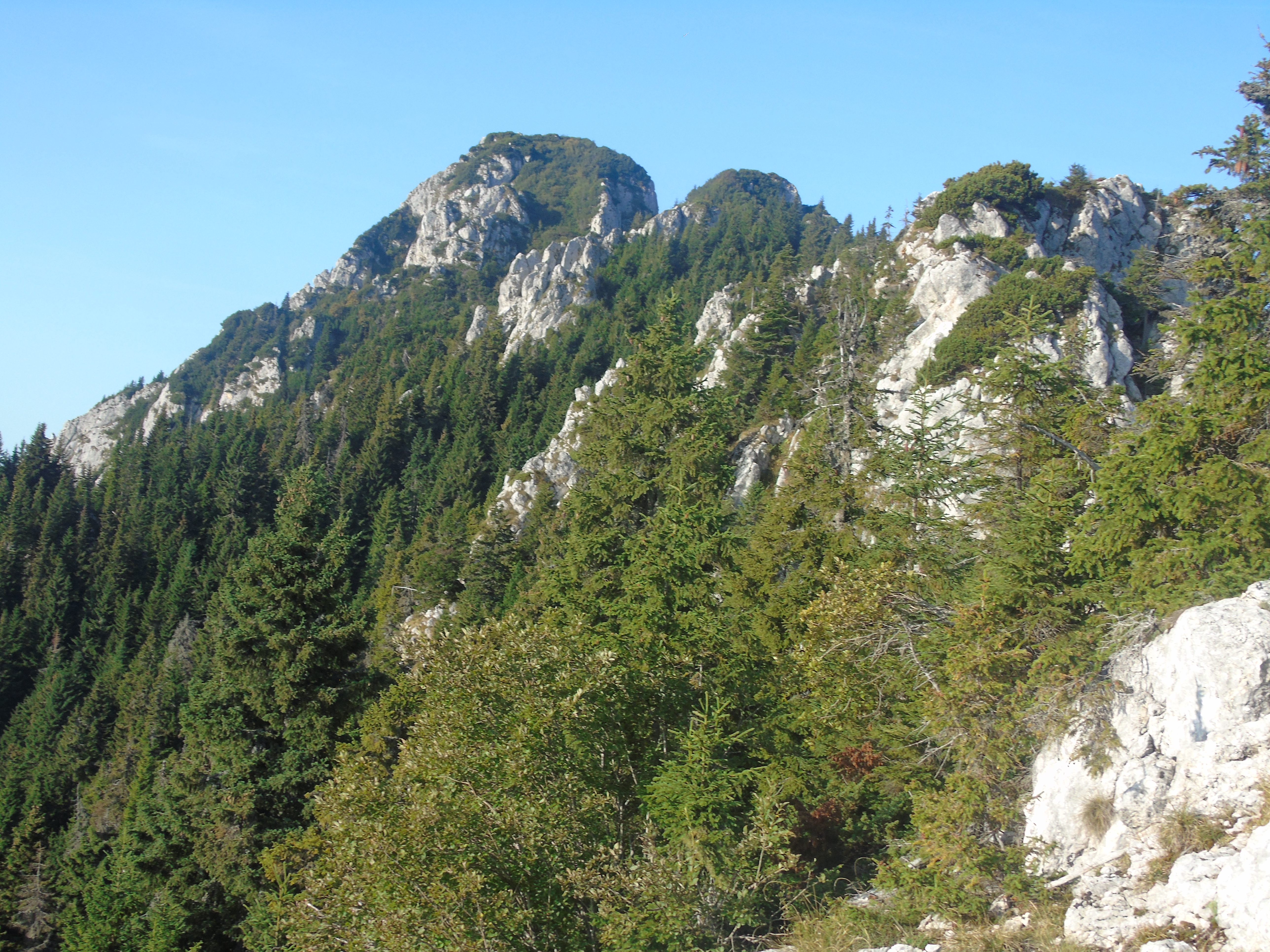 CĂLĂTOR PRIN MASIVELE ROMÂNIEI. 27. MASIVUL BUILA-VÂNTURARIȚA. SFÂRȘIT DE SEPTEMBRIE ÎN MÂNGÂIEREA CRESTELOR CRĂIESEI OLTENIEI